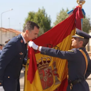 Su Maestad el rey Felipe VI en una jura de bandera
